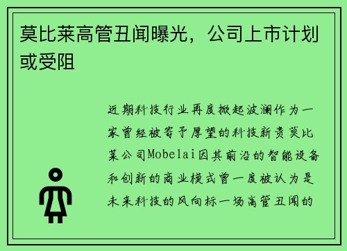 莫比莱高管丑闻曝光，公司上市计划或受阻